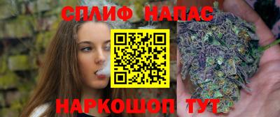 шишки Обнинск