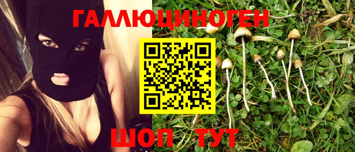 Галлюциногенные грибы Psilocybine cubensis  Вход с VPN  где купить наркоту  Мценск 